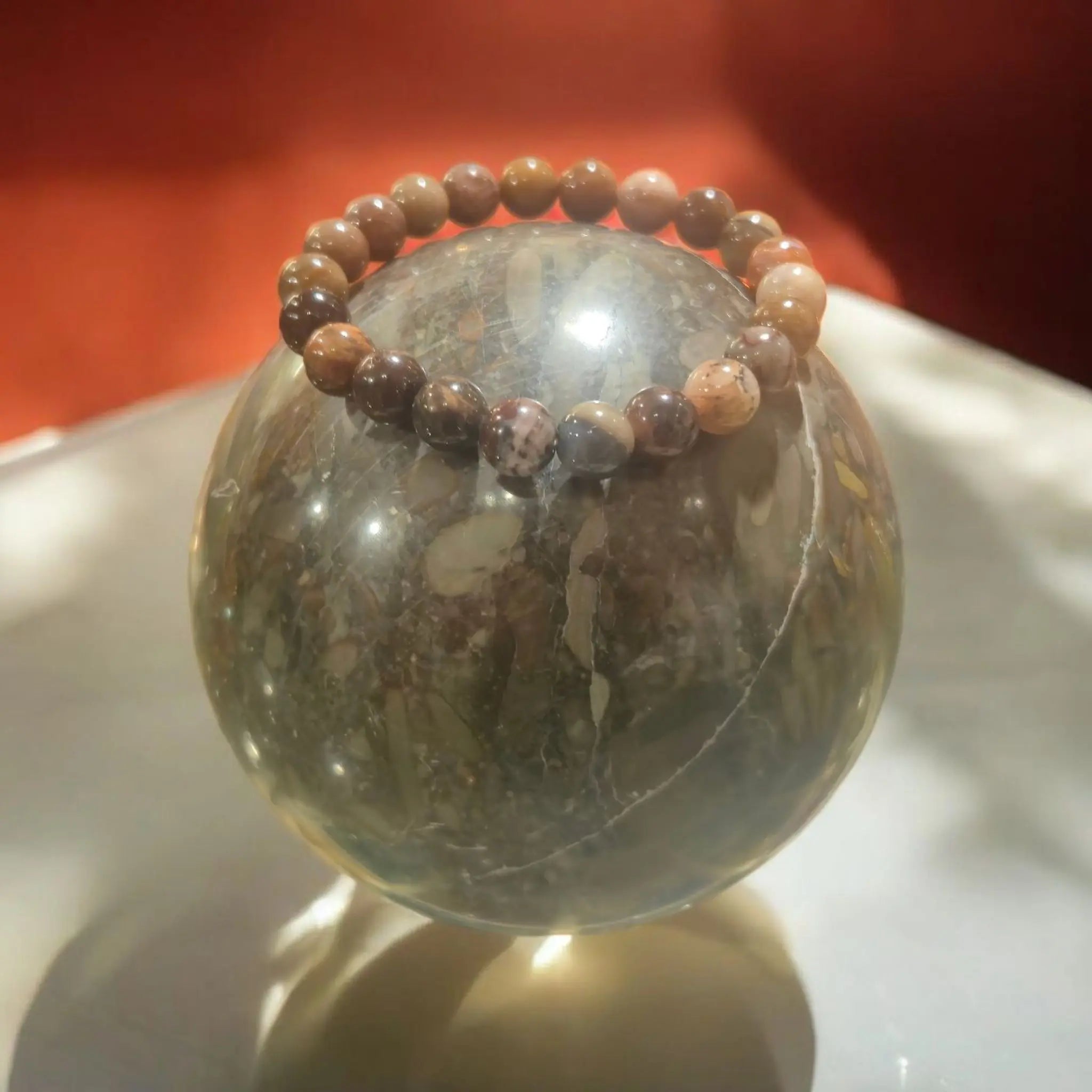 Bracelet en Bois Fossile La Boutique du Dragon