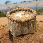 Bracelet en Jaspe Peau d'Éléphant La Boutique du Dragon
