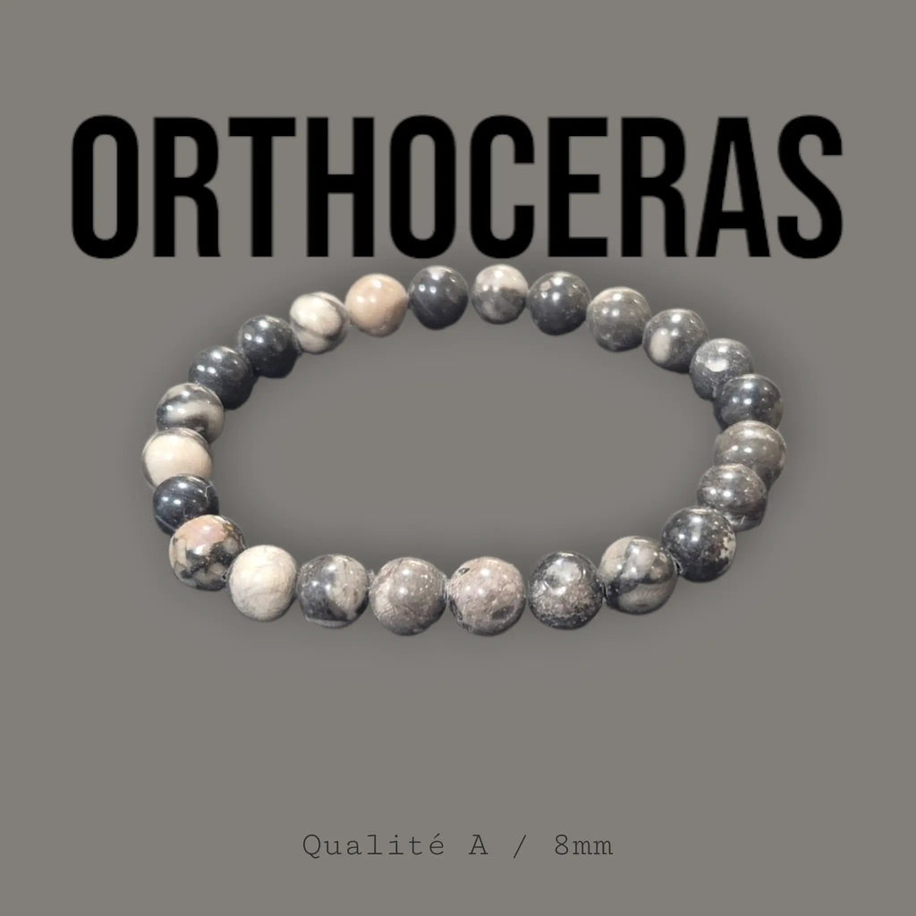 Bracelet en Orthoceras La Boutique du Dragon