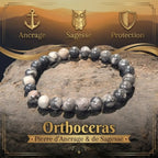 Bracelet en Orthoceras La Boutique du Dragon