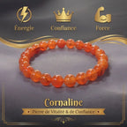 Bracelet en Cornaline La Boutique du Dragon